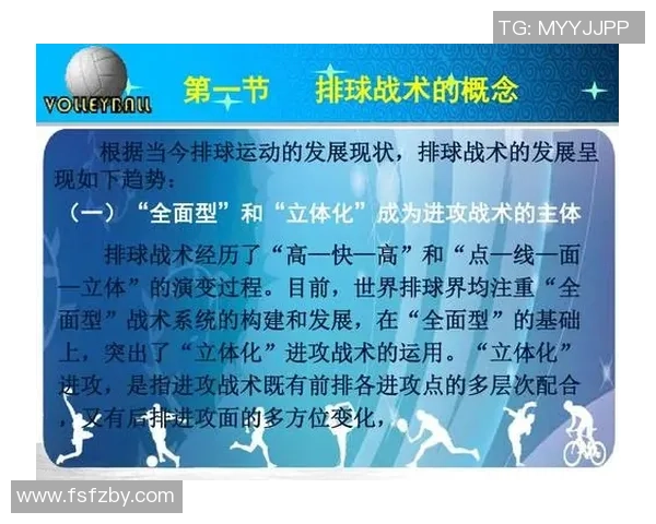 南京排球队进攻策略深度解析与战术创新探讨