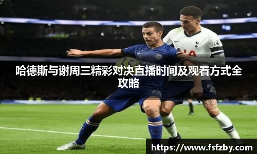 OD体育官方欧洲杯平台