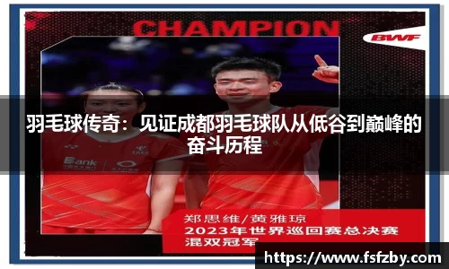 羽毛球传奇：见证成都羽毛球队从低谷到巅峰的奋斗历程